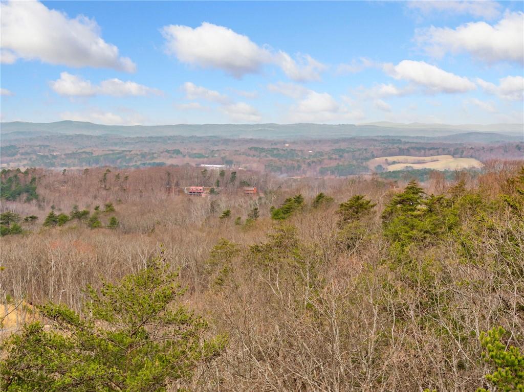 Lot 17 High Summit Drive, Talking Rock, Georgia image 32