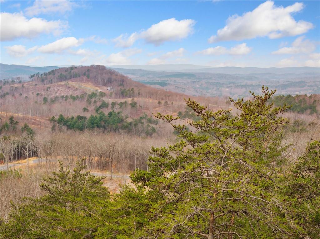 Lot 17 High Summit Drive, Talking Rock, Georgia image 31