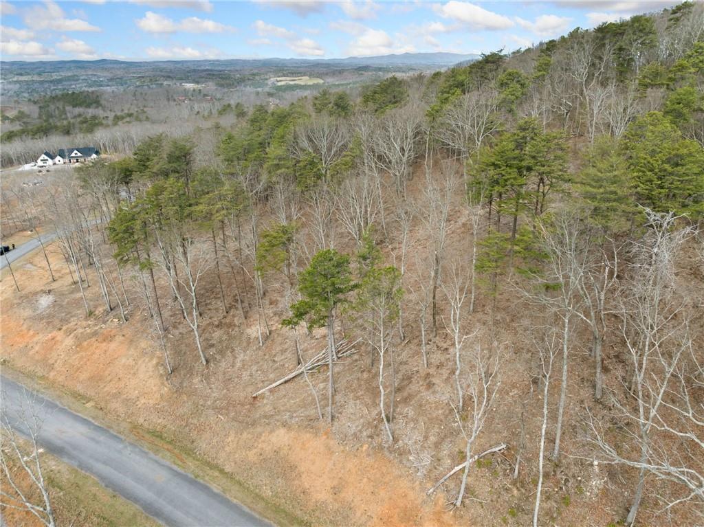 Lot 17 High Summit Drive, Talking Rock, Georgia image 23