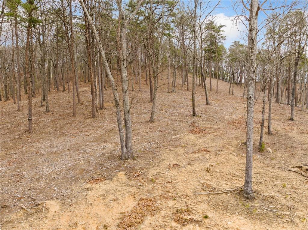 Lot 17 High Summit Drive, Talking Rock, Georgia image 35