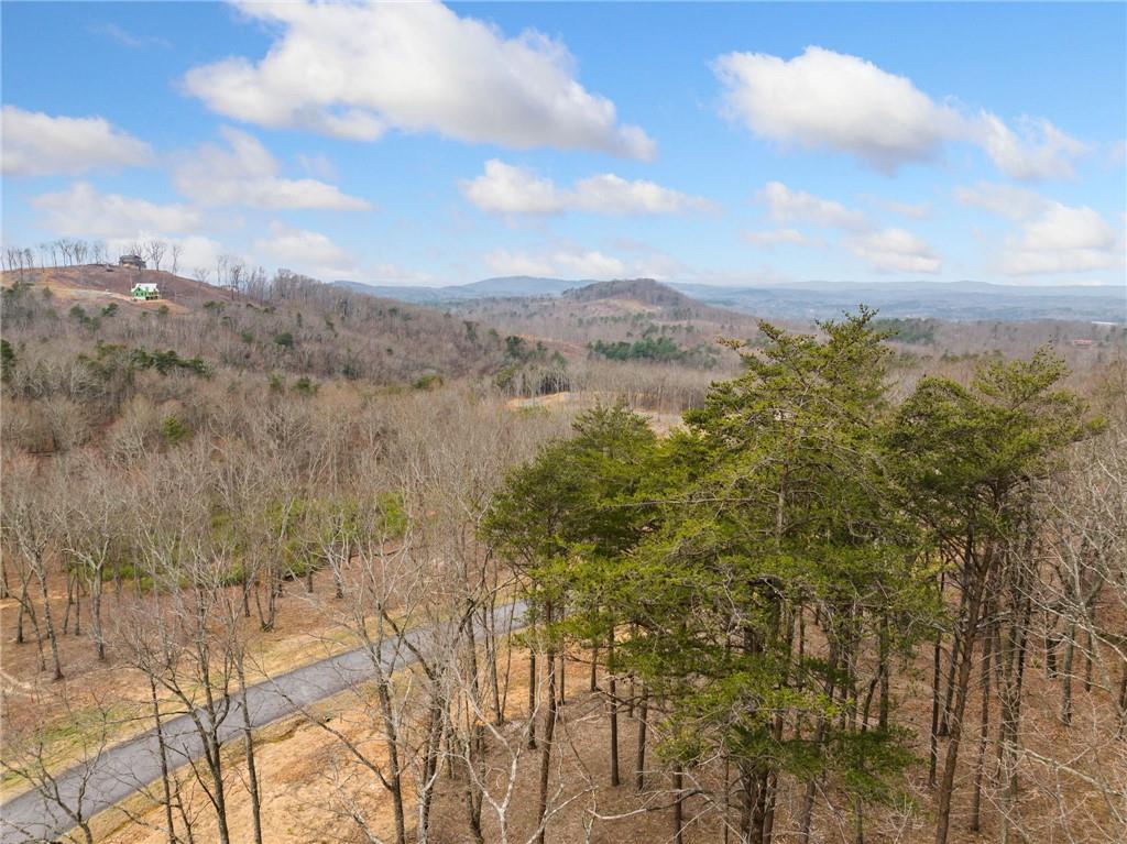 Lot 17 High Summit Drive, Talking Rock, Georgia image 30