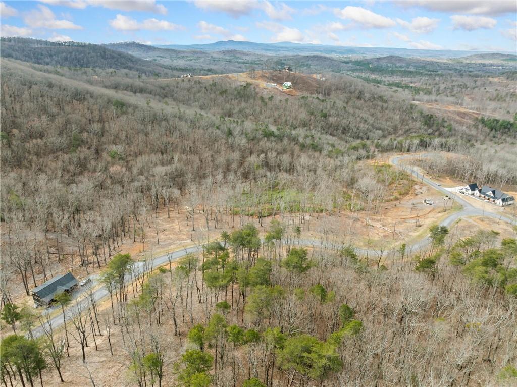 Lot 17 High Summit Drive, Talking Rock, Georgia image 19