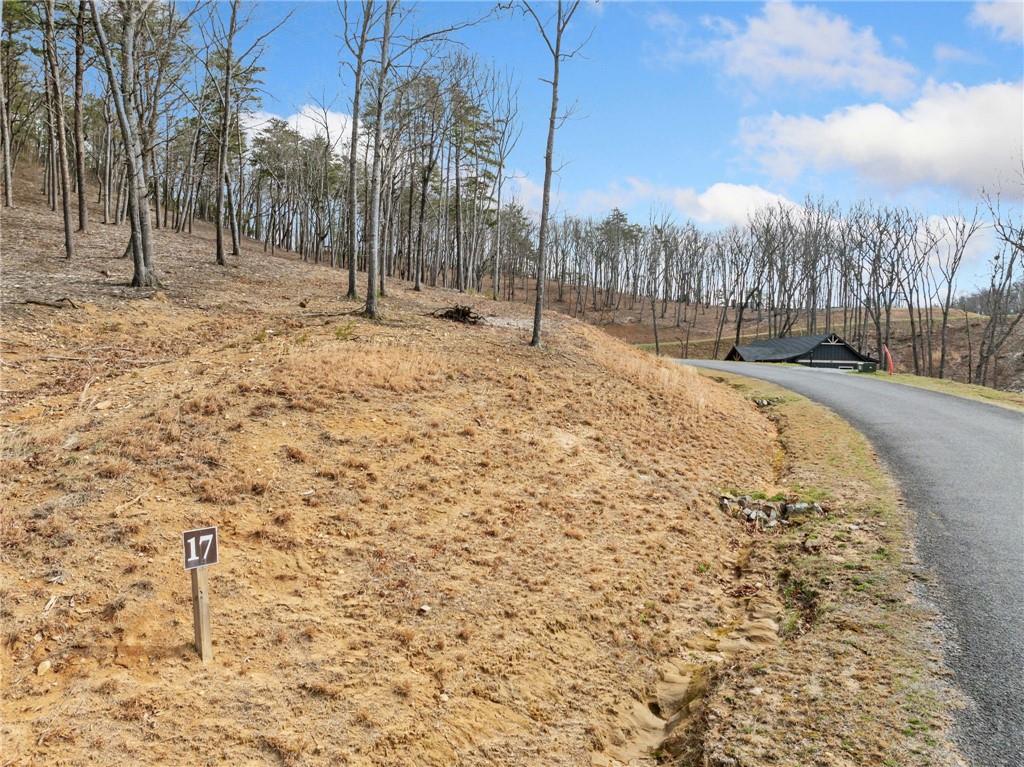 Lot 17 High Summit Drive, Talking Rock, Georgia image 11