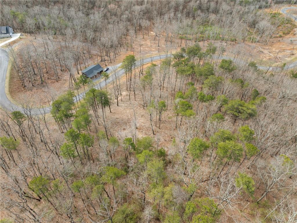 Lot 17 High Summit Drive, Talking Rock, Georgia image 20