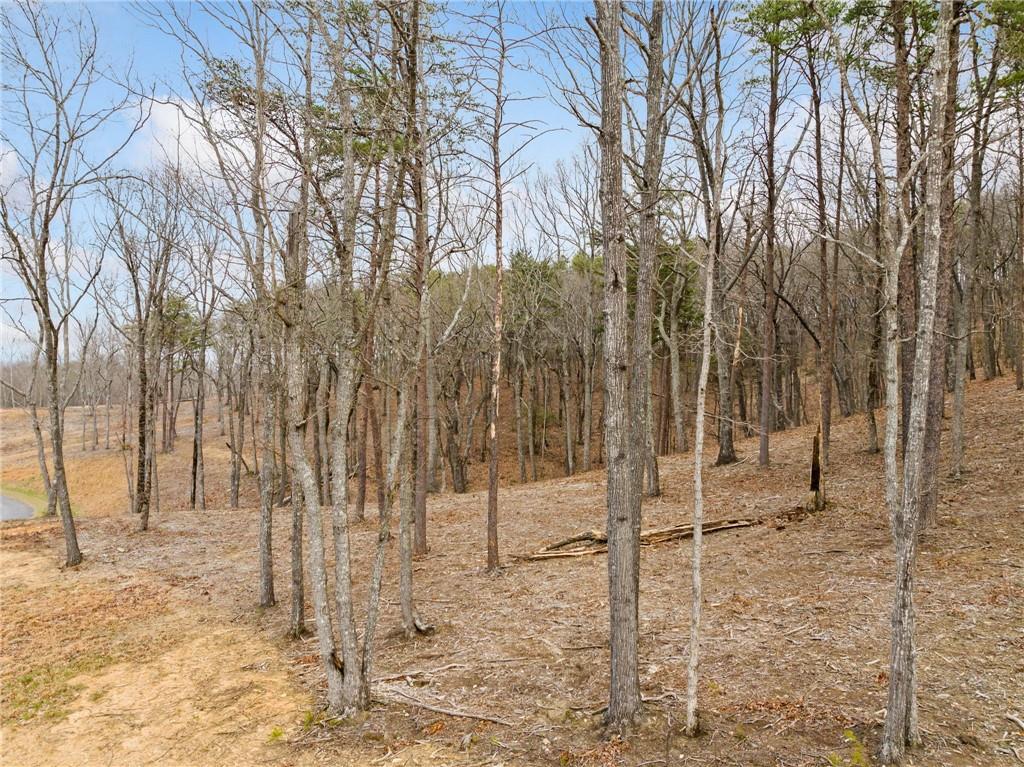 Lot 17 High Summit Drive, Talking Rock, Georgia image 36