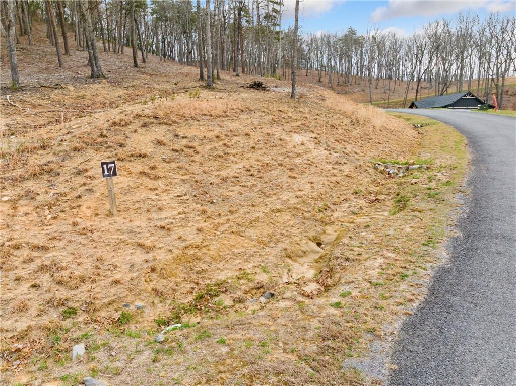 Lot 17 High Summit Drive, Talking Rock, Georgia image 34