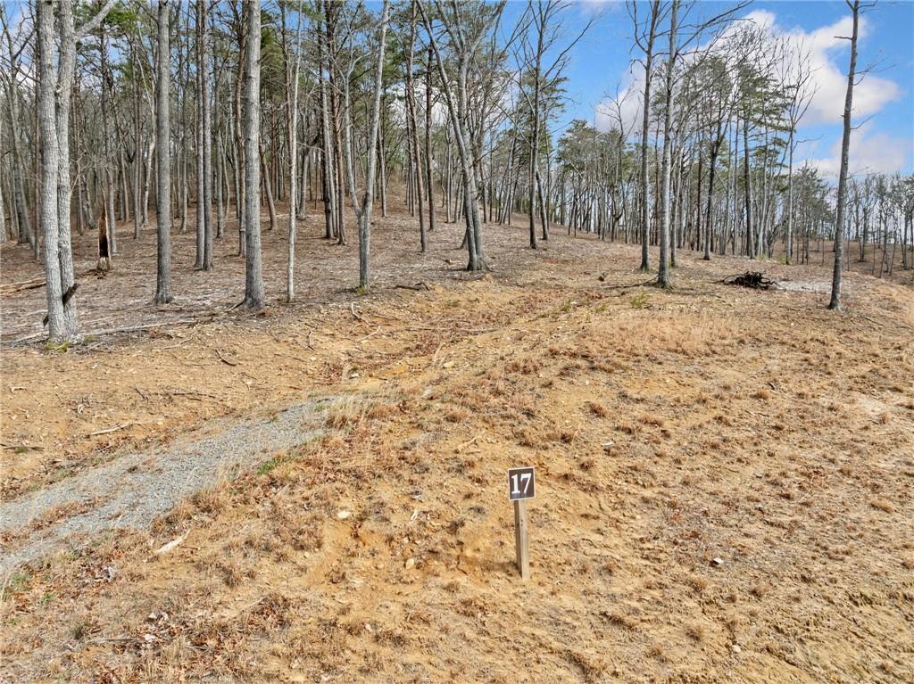 Lot 17 High Summit Drive, Talking Rock, Georgia image 12