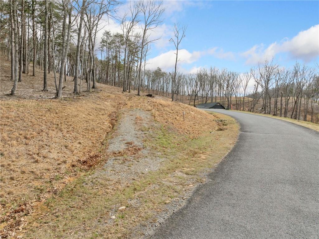 Lot 17 High Summit Drive, Talking Rock, Georgia image 13