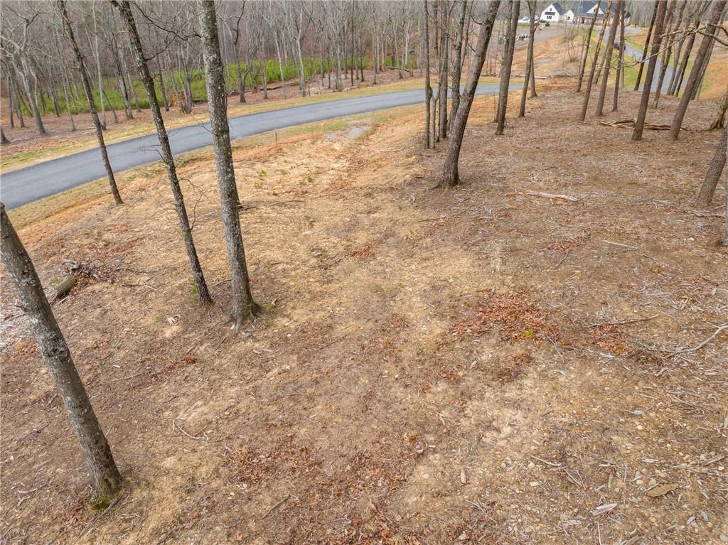 Lot 17 High Summit Drive, Talking Rock, Georgia image 3