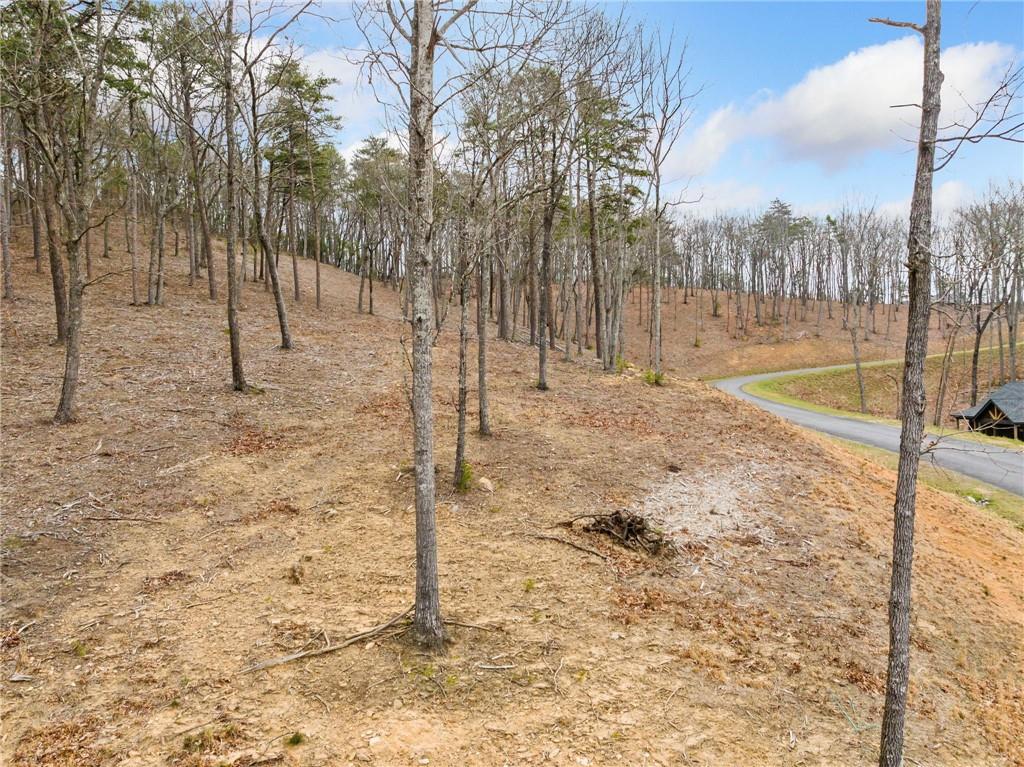 Lot 17 High Summit Drive, Talking Rock, Georgia image 37