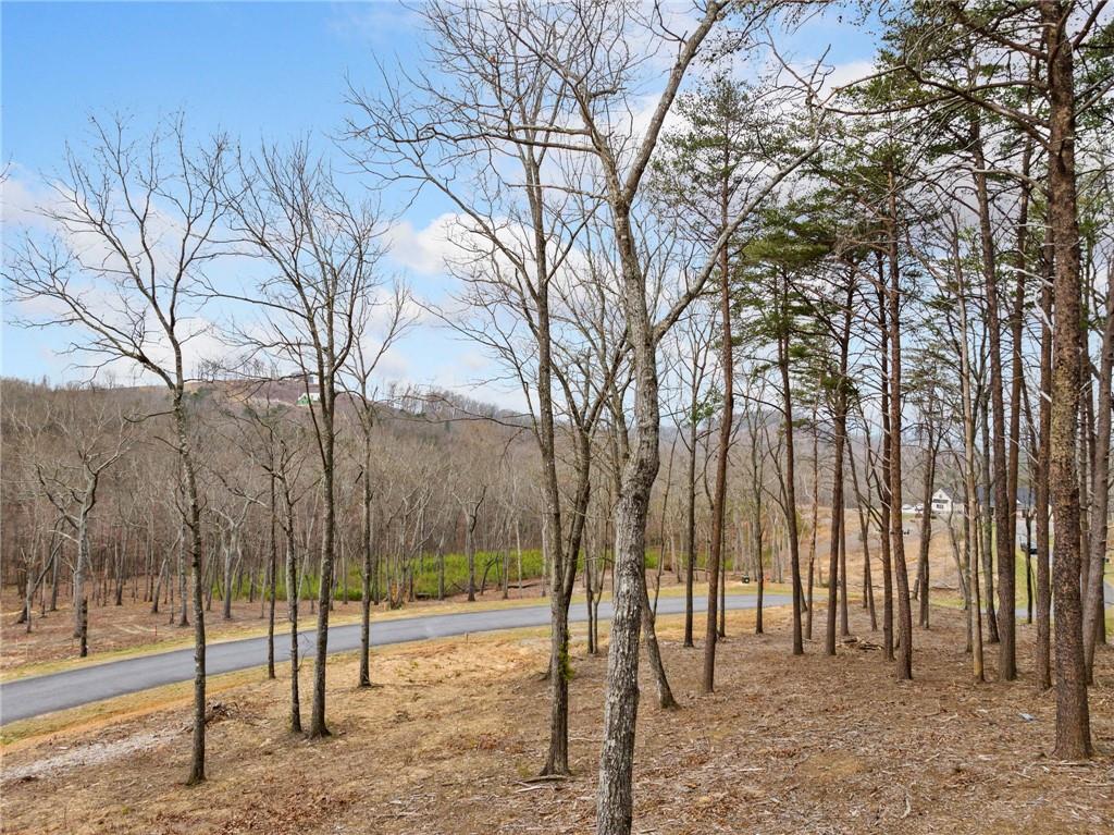 Lot 17 High Summit Drive, Talking Rock, Georgia image 28