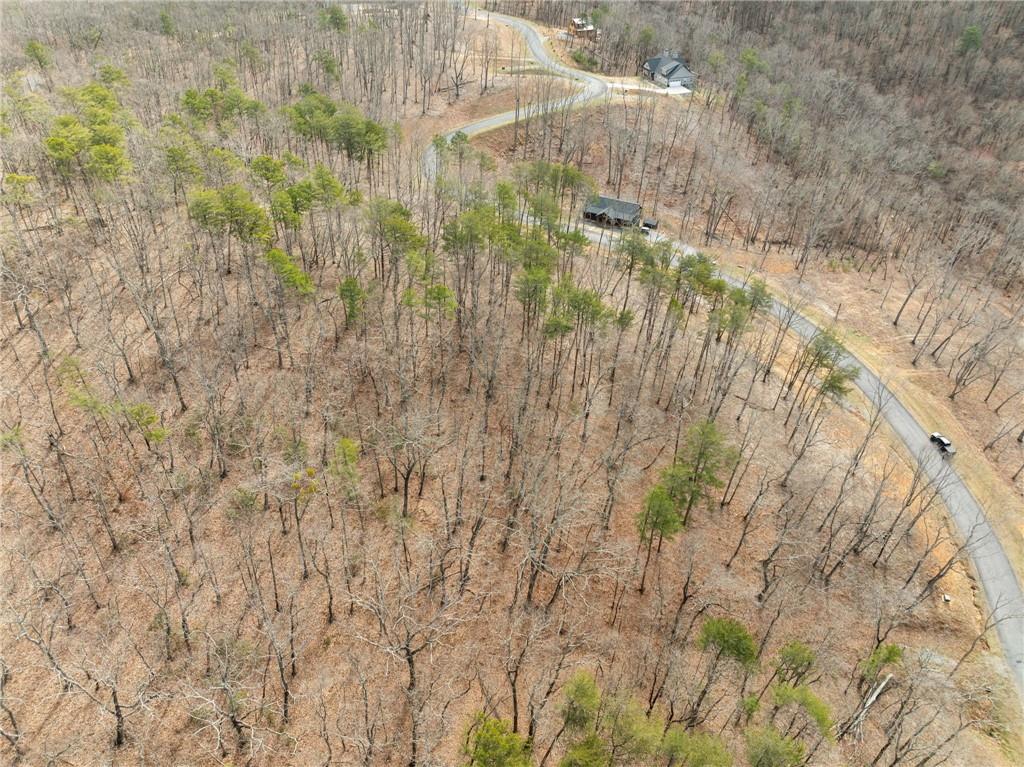 Lot 17 High Summit Drive, Talking Rock, Georgia image 17