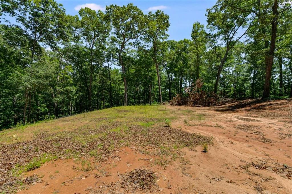 85 Eureka Church Road, Carrollton, Georgia image 4