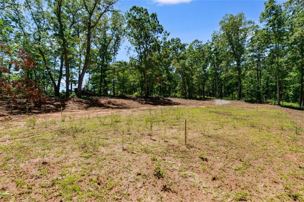85 Eureka Church Road, Carrollton, Georgia image 6