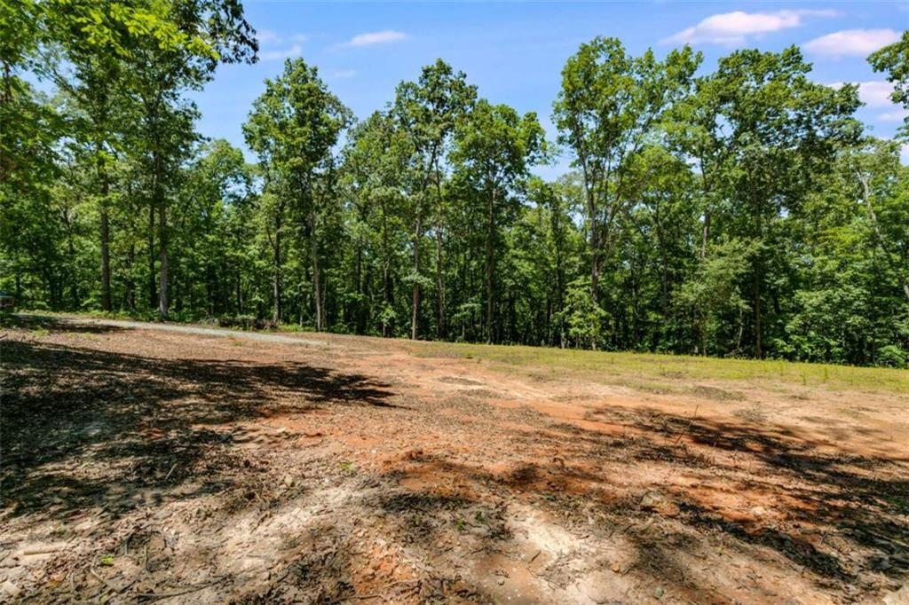 85 Eureka Church Road, Carrollton, Georgia image 8