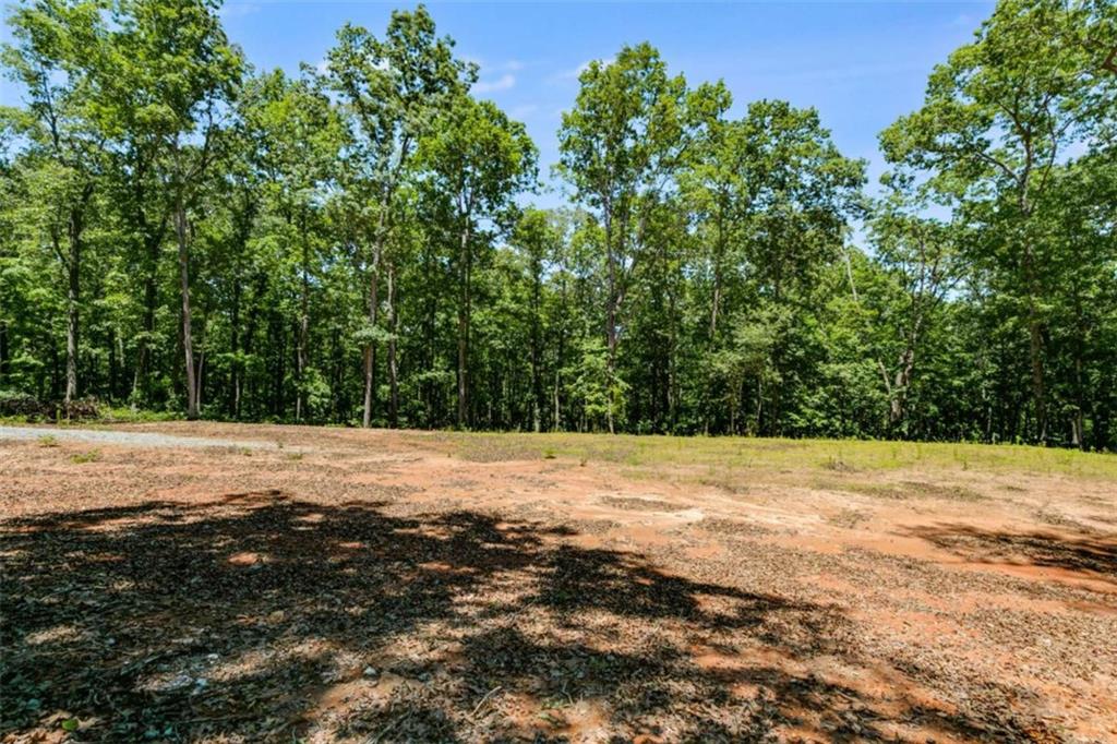 85 Eureka Church Road, Carrollton, Georgia image 7