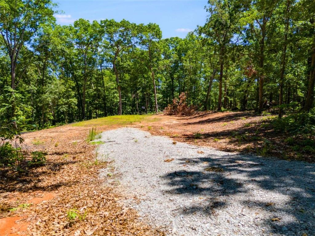 85 Eureka Church Road, Carrollton, Georgia image 2