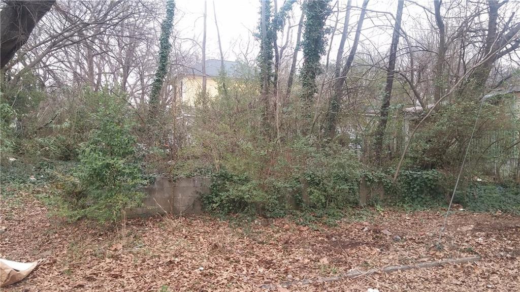 373 Delevan Street, Atlanta, Georgia image 1
