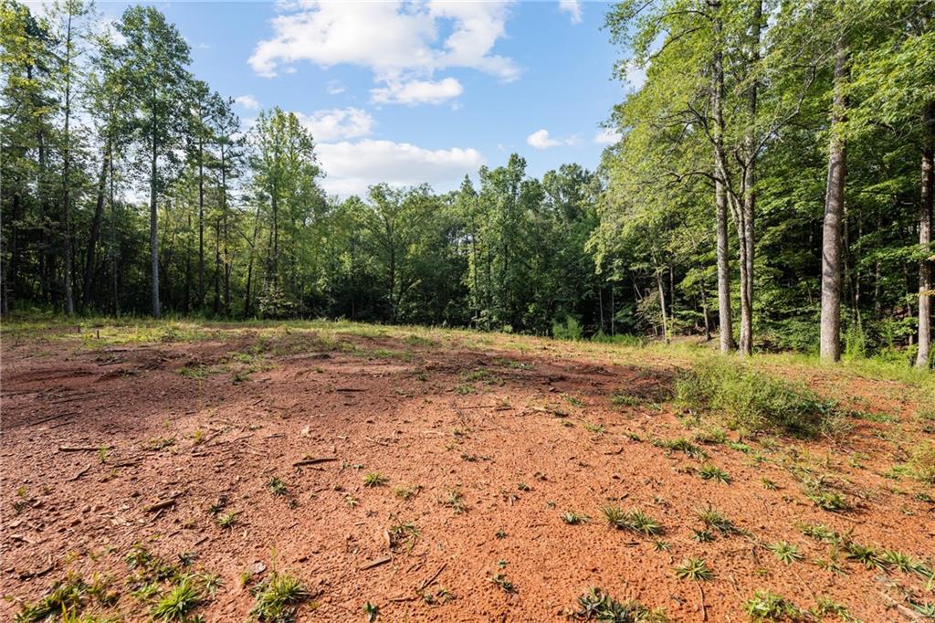 2041 Long Branch Road