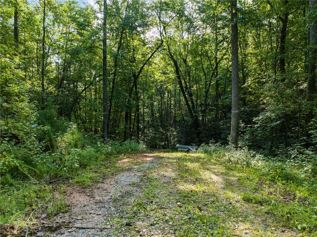 2041 Long Branch Road