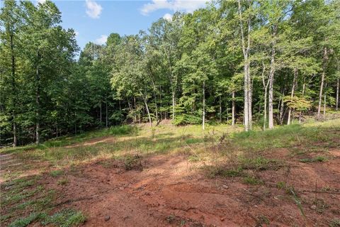 Vacant Land For Sale - 2041 Long Branch Road<br/> Lumpkin County, Dahlonega, GA 30533