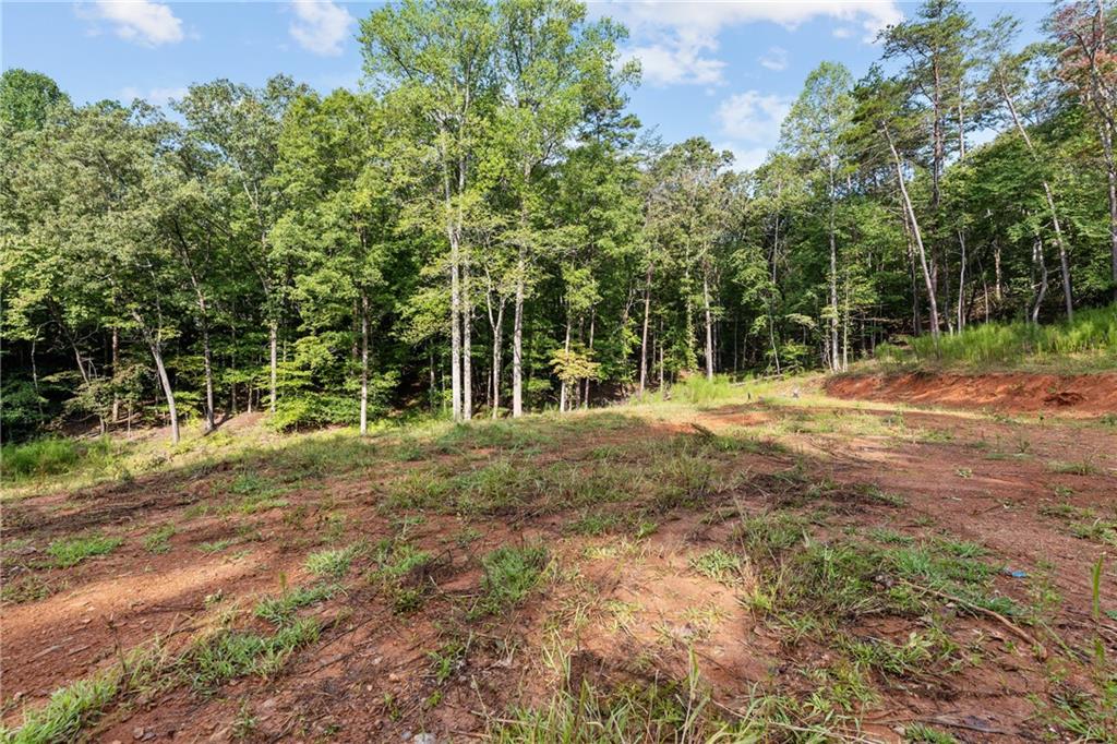 2041 Long Branch Road