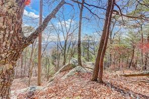 1915 Tower Trail