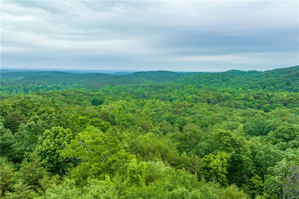 Terrace Way, Jasper, Georgia image 1