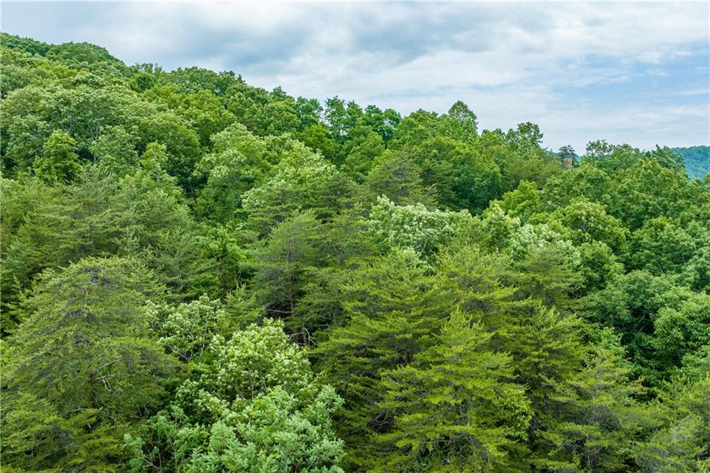 Terrace Way, Jasper, Georgia image 5