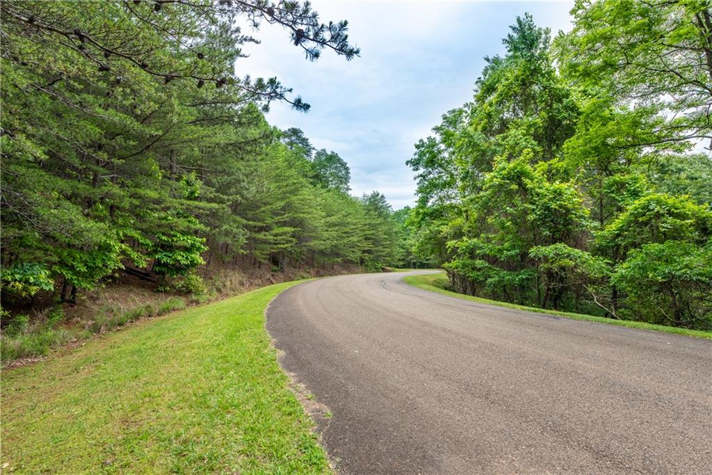 Terrace Way, Jasper, Georgia image 18