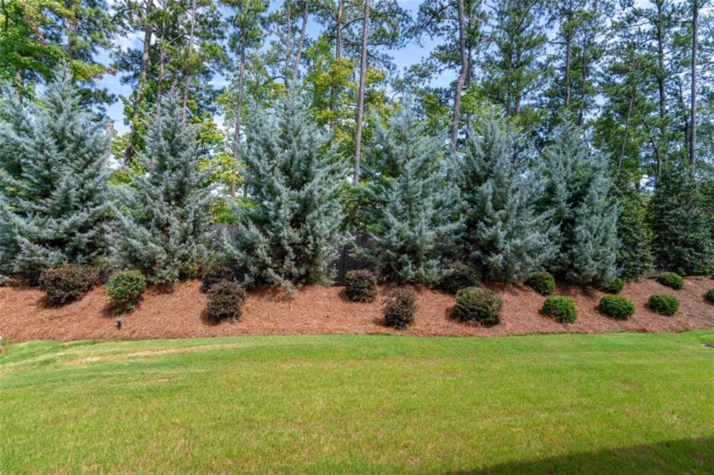 7 Hickory Branch Br, Hiram, Georgia image 25