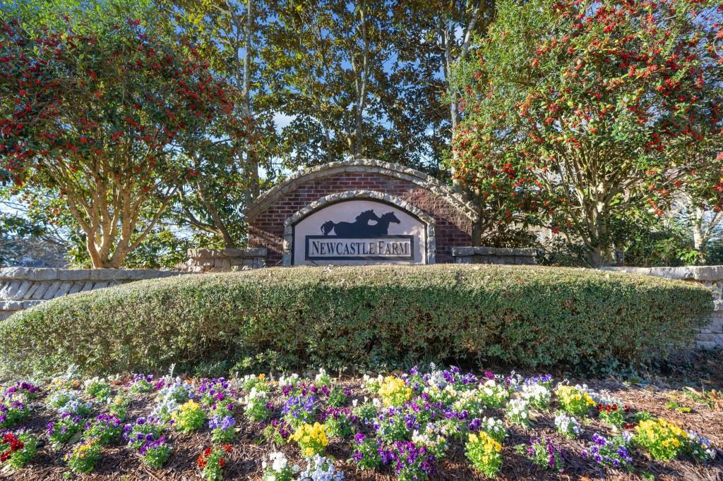153 Newcastle Walk, Woodstock, Georgia image 43