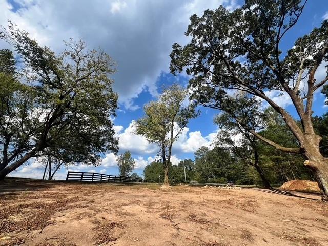 3174 Ga-372, Ball Ground, Georgia image 8