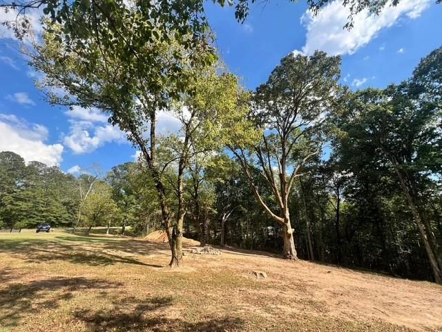 3174 Ga-372, Ball Ground, Georgia image 7