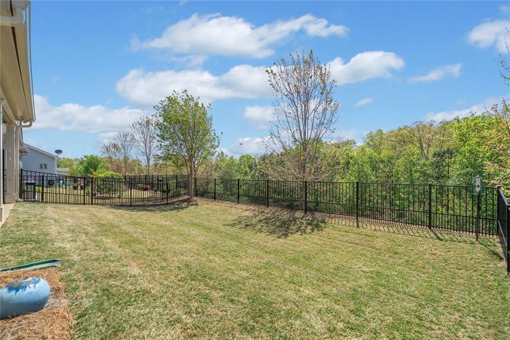 324 Hickory Bluffs Parkway, Canton, Georgia image 41