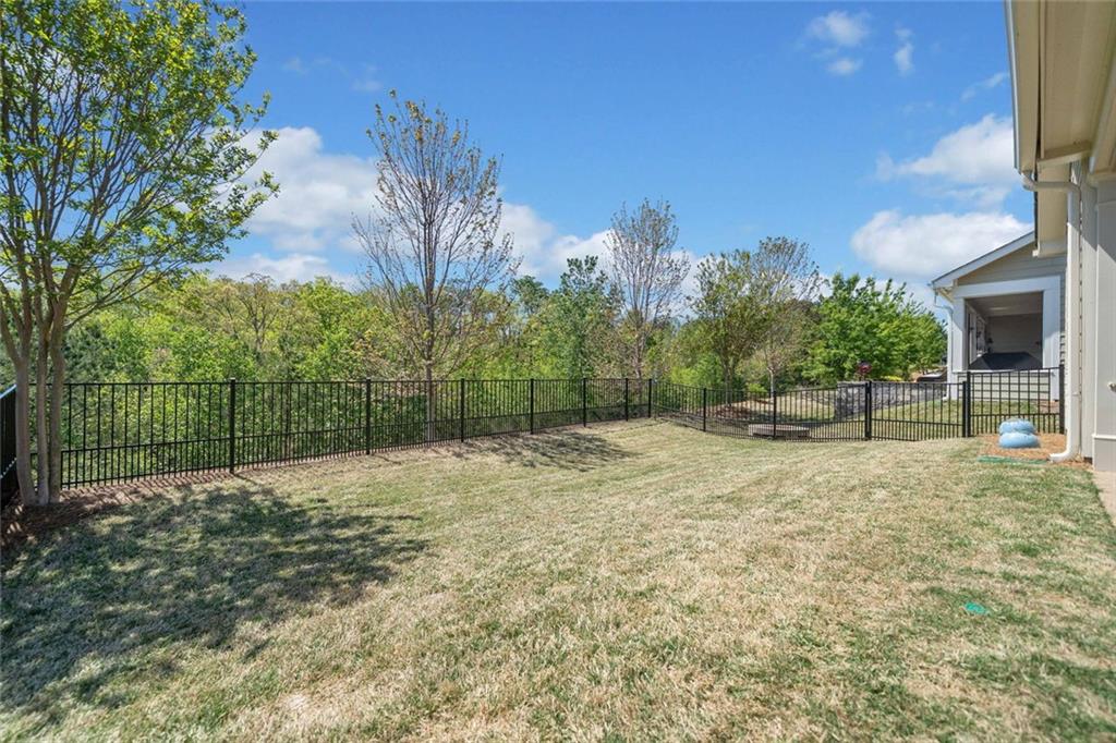 324 Hickory Bluffs Parkway, Canton, Georgia image 38