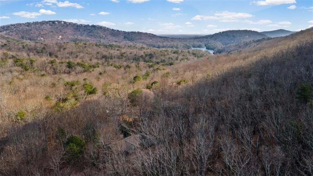 119 Soaring Hawk Circle