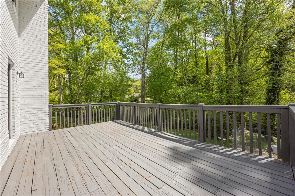 3717 Birchbriar Court, Decatur, Georgia image 22