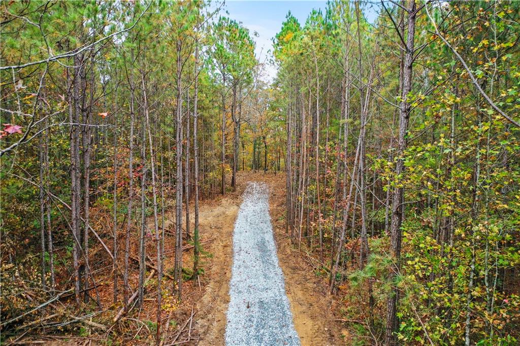 Lot 4 Mill Street, Elberton, Georgia image 3