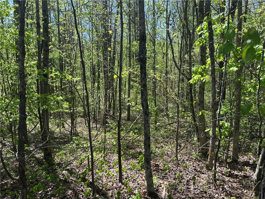 0 N. 411 HWY Highway