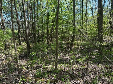 Vacant Land For Sale - N. 411 Hwy Highway<br/> Murray County, Eton, GA 30705