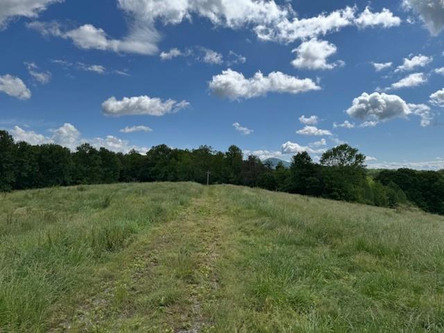 Claude Parks Road Road, Murrayville, Georgia image 7