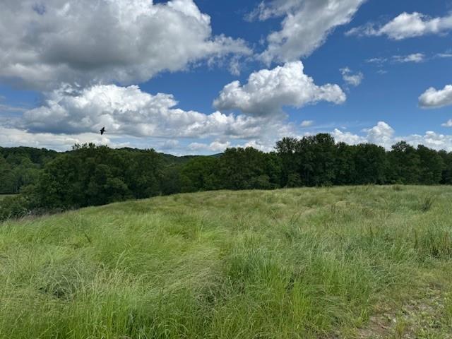 Claude Parks Road Road, Murrayville, Georgia image 6