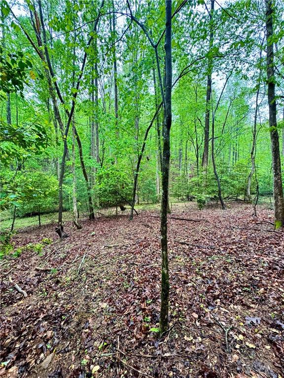 308 Creekside Trail, Ellijay, Georgia image 4