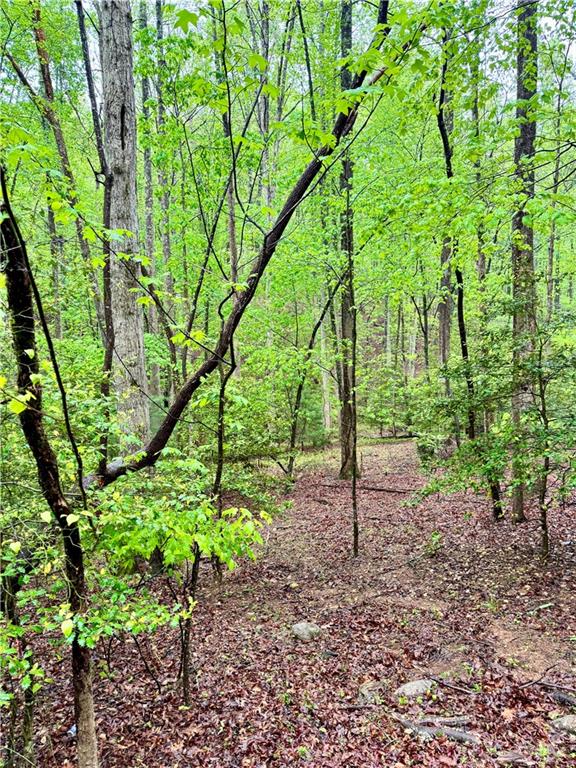 308 Creekside Trail, Ellijay, Georgia image 2