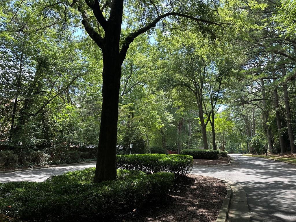 41 Basswood Circle