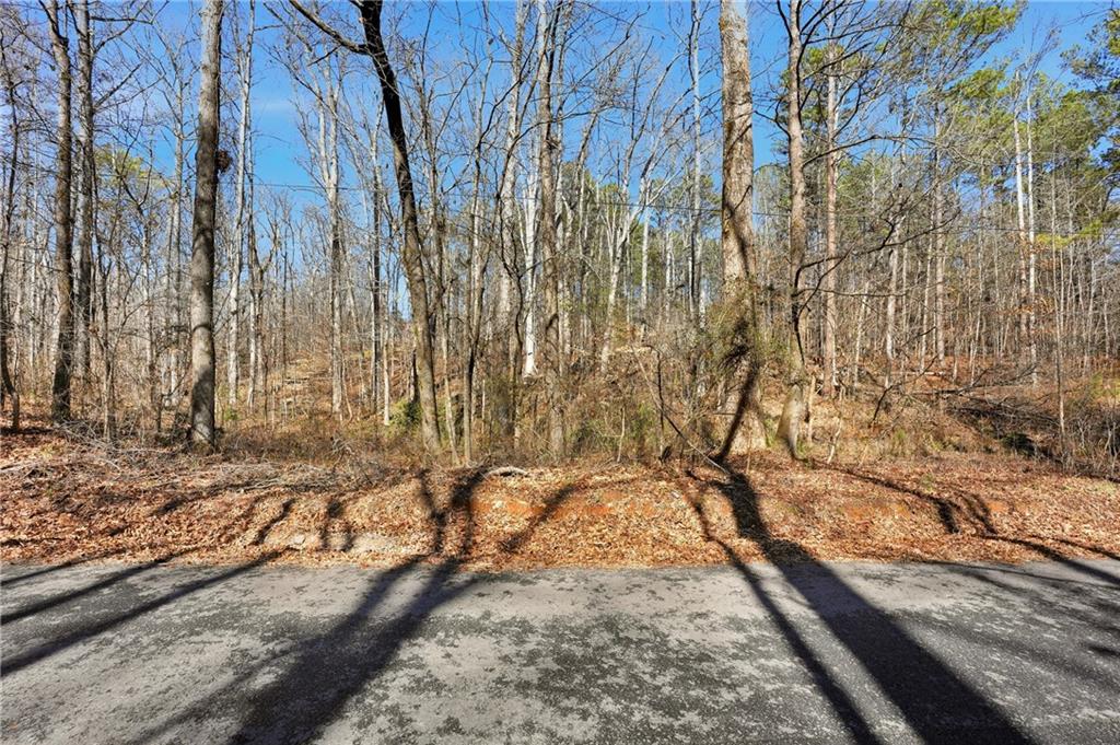 0 Pickett Bridge Road