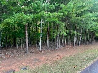 LOT 48 Green Meadows, Dahlonega, Georgia image 4