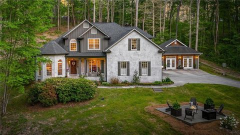 164 Stegall Drive Ellijay GA 30536