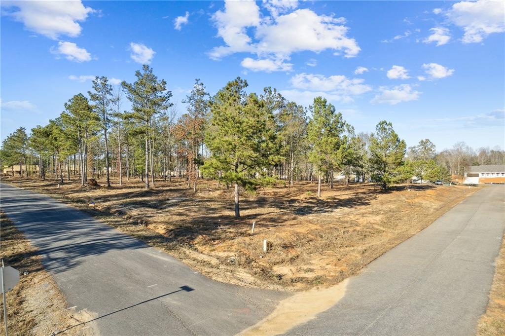 8 Joseph Lane, Hartwell, Georgia image 46